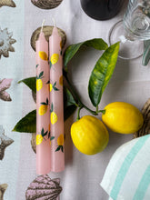 Load image into Gallery viewer, Backyard Lemons, Pink (set of2)